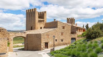 Visita el Cerco de Artajona